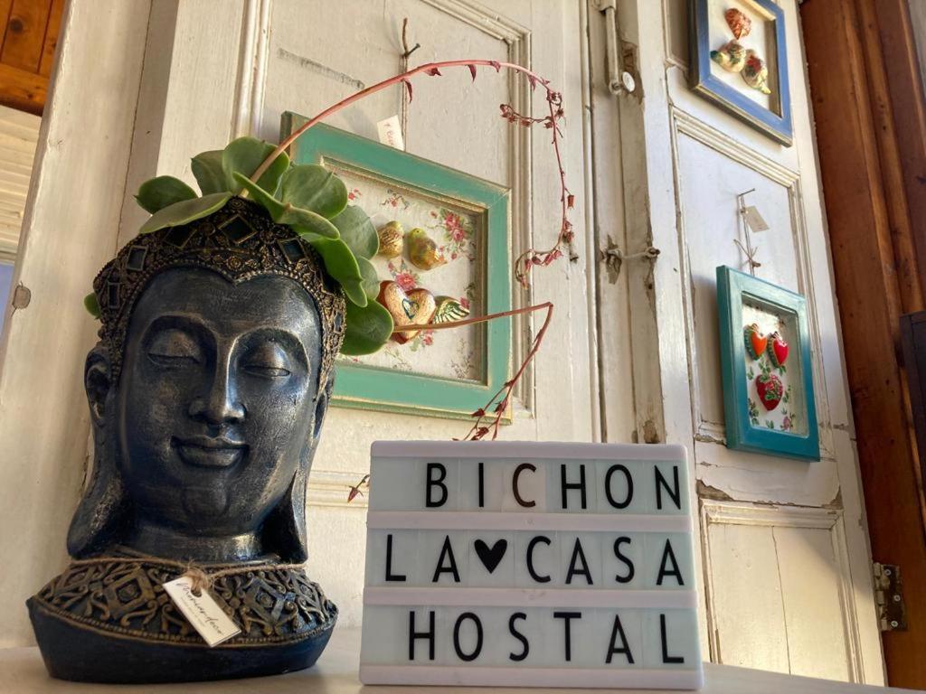 Bichon La Casa Hostal Pichilemu Exteriör bild