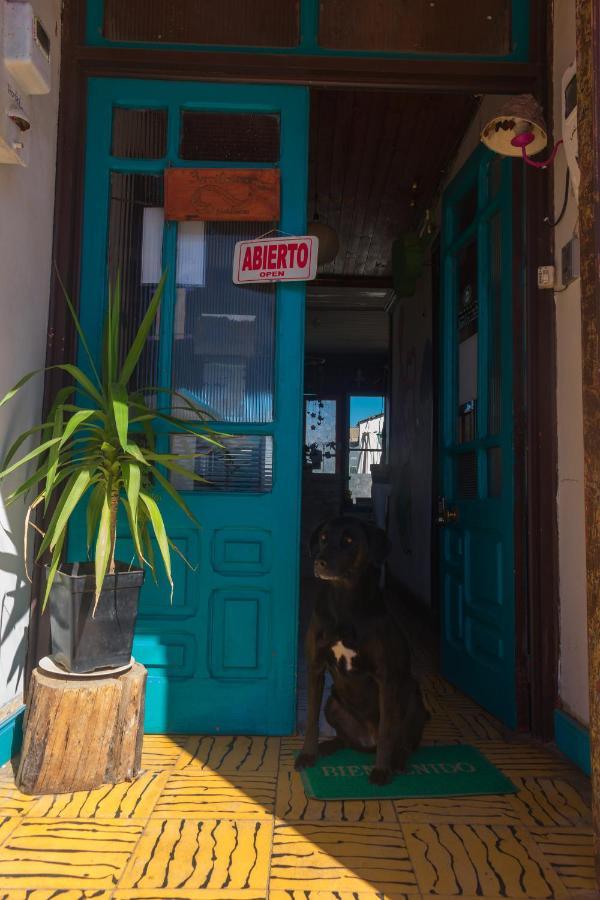 Bichon La Casa Hostal Pichilemu Exteriör bild